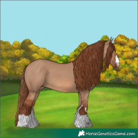 Horse Color:Red Dun