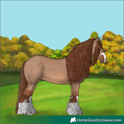 Horse Color:Red Dun 
