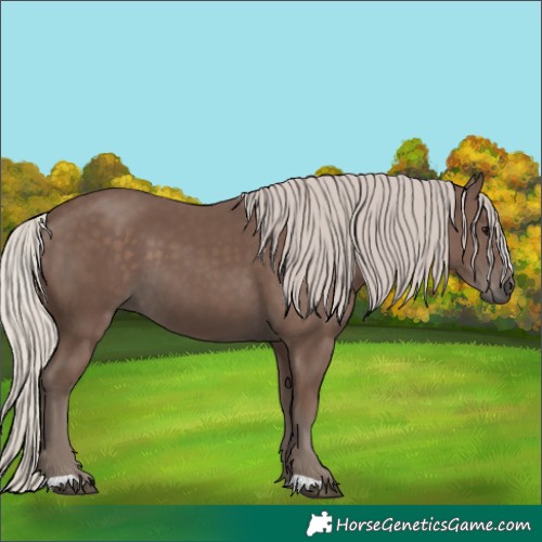 Horse Color:Silver Black 
