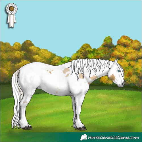 Horse Color:Silver Buckskin Dun Harlequin Merle Tobiano 