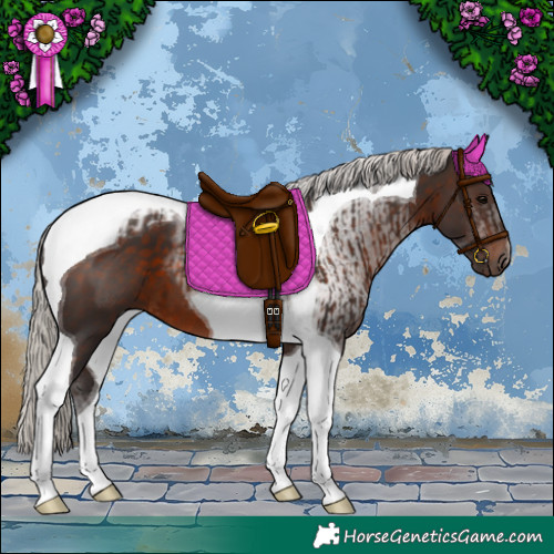 Horse Color:Silver Brown Tobiano and Silver Brown Tobiano