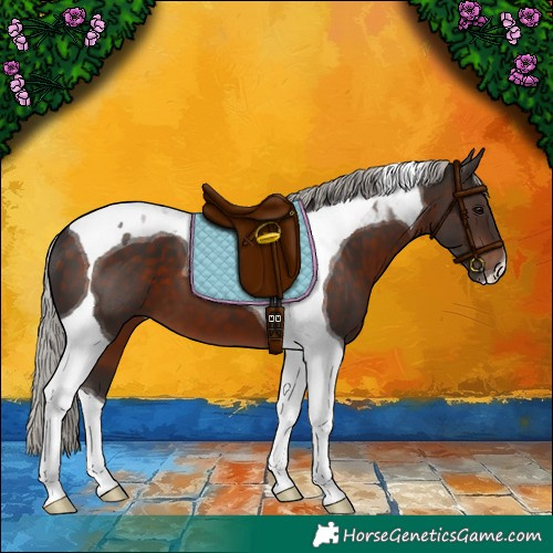 Horse Color:Silver Brown Tobiano 