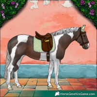 Horse Color:Silver Black Tobiano 