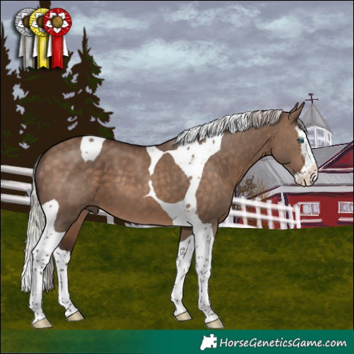 Horse Color:Silver Brown Dun Splash Tobiano 