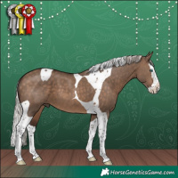 Horse Color:Silver Brown Dun Splash Tobiano