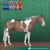 Horse Color:Silver Brown Dun Splash Tobiano
