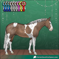 Horse Color:Silver Brown Dun Splash Tobiano 