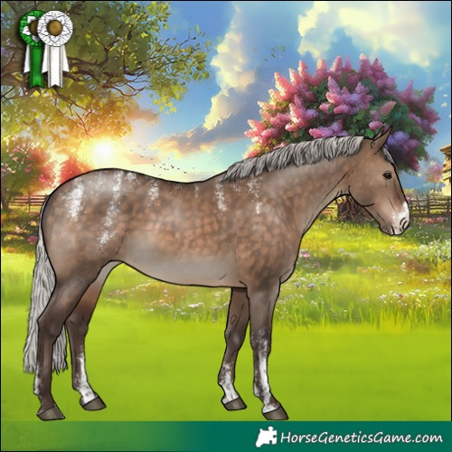 Horse Color:Powder White Silver Brown Dun