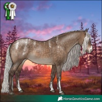 Horse Color:Powder White Silver Brown Dun
