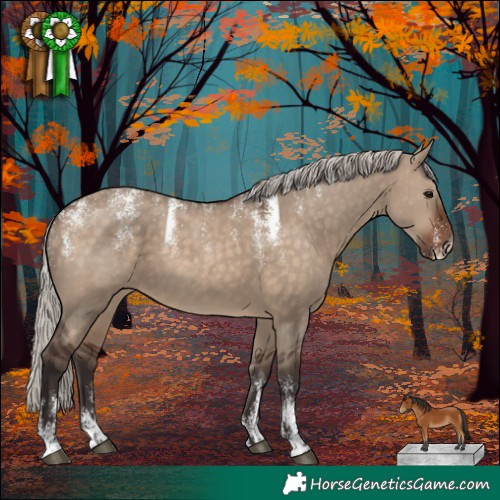 Horse Color:Powder White Silver Brown Dun