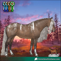 Horse Color:Powder White Silver Brown Dun 