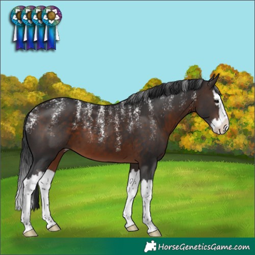 Horse Color:Powder White Brown Splash 