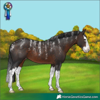 Horse Color:Powder White Brown Splash