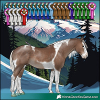 Horse Color:Silver Black Splash Tobiano 