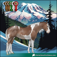 Horse Color:Silver Black Splash Tobiano 