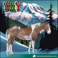 Horse Color:Silver Black Splash Tobiano 