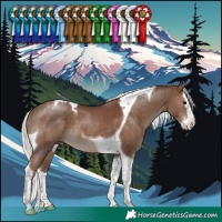 Horse Color:Silver Black Splash Tobiano