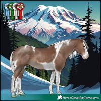 Horse Color:Silver Black Splash Tobiano