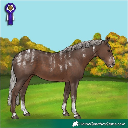 Horse Color:Powder White Silver Black 