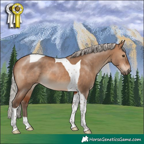Horse Color:Silver Bay Dun Tobiano 