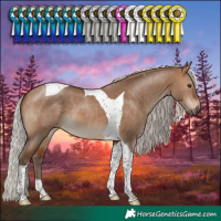 Horse Color:Silver Bay Dun Tobiano 