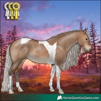 Horse Color:Silver Bay Dun Tobiano 