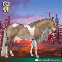 Horse Color:Silver Bay Dun Tobiano