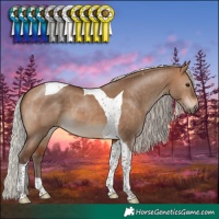Horse Color:Silver Bay Dun Tobiano