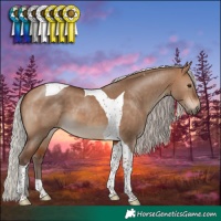 Horse Color:Silver Bay Dun Tobiano 