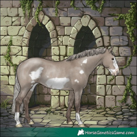 Horse Color:Silver Grullo Frame Rabicano 