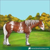 Horse Color:White Spotted Silver Brown Splash 
