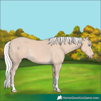 Horse Color:Silver Smoky Creme Tobiano