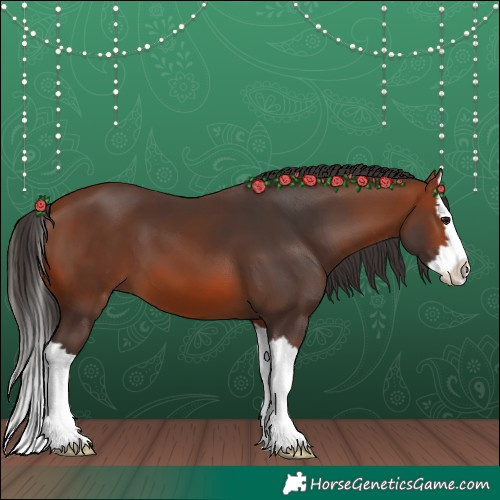 Horse Color:Bay Splash 