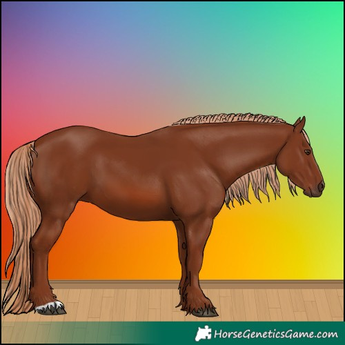 Horse Color:Chestnut 
