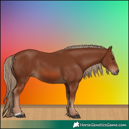 Horse Color:Chestnut 