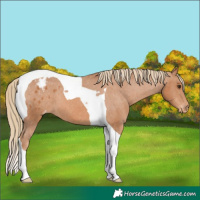 Horse Color:Chestnut Tobiano Varnish 