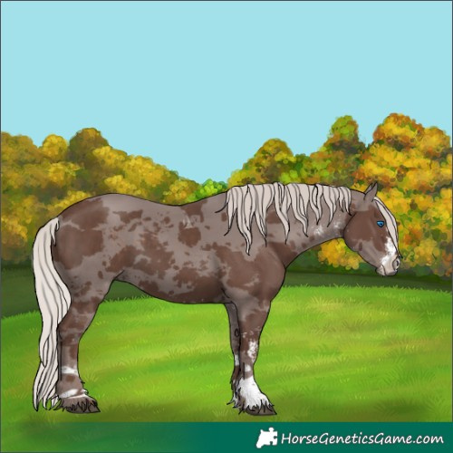Horse Color:White Spotted Silver Black Merle Tobiano 