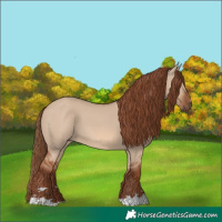 Horse Color:Red Dun 