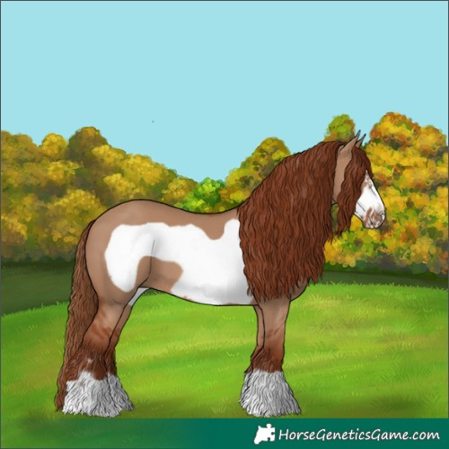 Horse Color:Red Dun Frame 