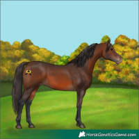 Horse Color:Brown Varnish