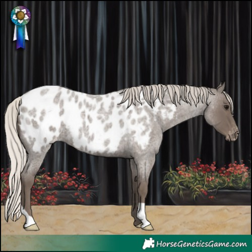 Horse Color:Silver Blue Roan Blanket 