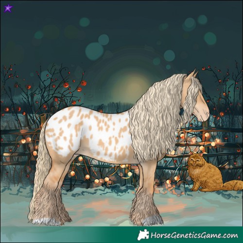 Horse Color:Red Dun Near Leopard