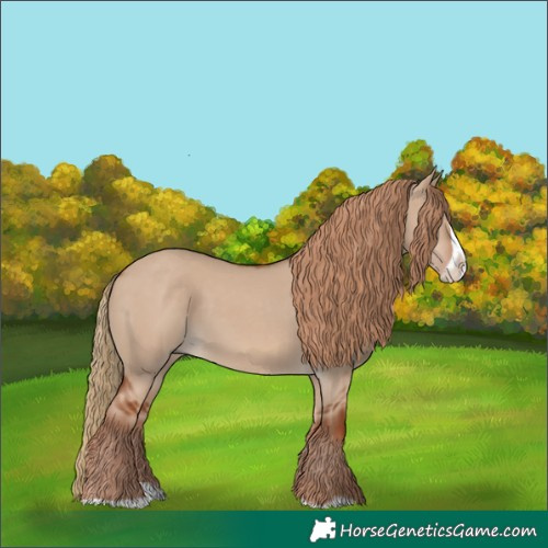 Horse Color:Red Dun Splash Frame