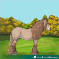 Horse Color:Red Dun Splash Frame