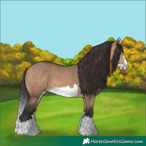 Horse Color:Bay Dun Splash Frame 