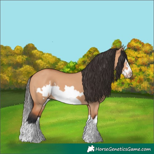 Horse Color:Bay Dun Splash Frame