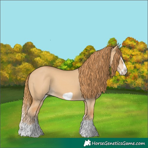 Horse Color:Red Dun Splash Frame