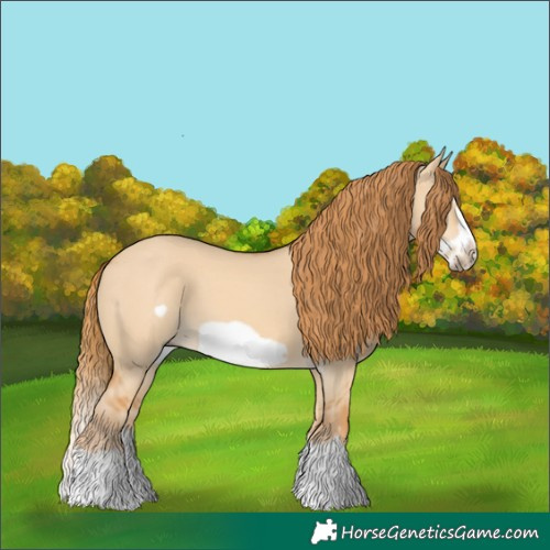 Horse Color:Red Dun Splash Frame
