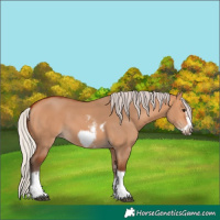 Horse Color:Silver Bay Dun Sabino Tobiano Frame Rabicano 