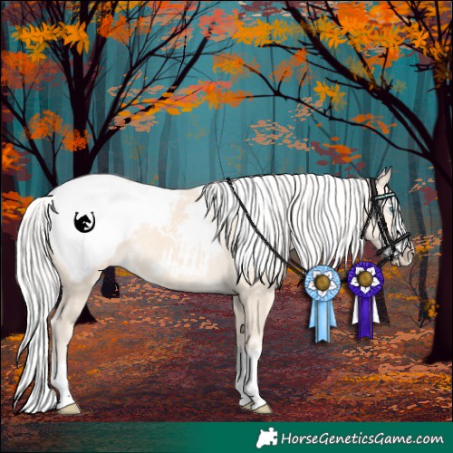 Horse Color:White Spotted Silver Perlino Splash Appaloosa Rabicano 